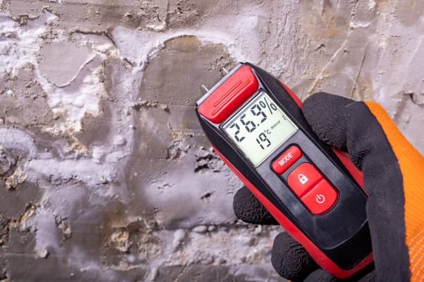 Best Commercial Mold Remediation in Manton, MI