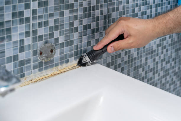 Reliable Manton, MI Mold Remediation Solutions