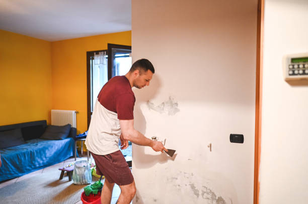 Best DIY Mold Remediation Support Services in Manton, MI
